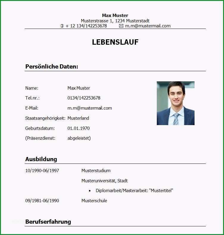 muster lebenslauf student