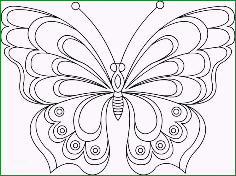 17 Schockieren Schmetterling Vorlage Zum Ausdrucken Sie Kennen Müssen 2