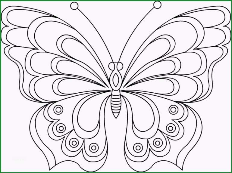 17 Schockieren Schmetterling Vorlage Zum Ausdrucken Sie Kennen Müssen 2