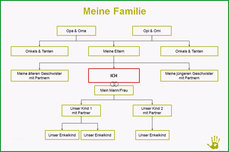 Selten Stammbaum Erstellen