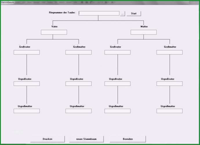stammbaum vorlage leer kostenlos