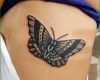 Selten Tattoovorlage Schwarzer Schmetterling