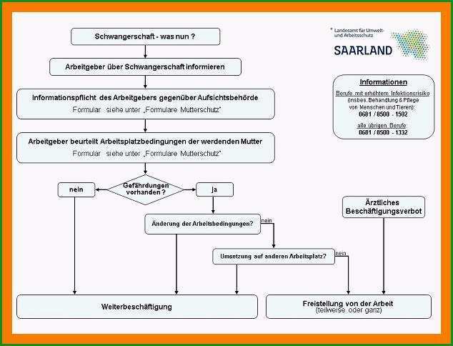 13 arbeitgeber schwangerschaft mitteilen vorlage