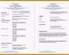 Sensationell 8 Englisch Cv Muster