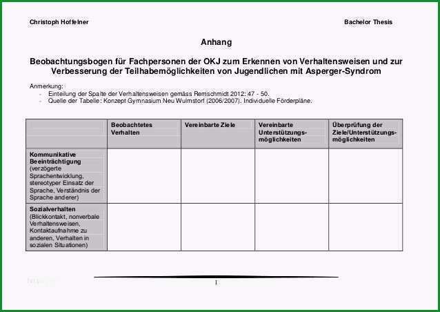 beobachtungsbogen krippe vorlage elegant entwicklungsbericht der kindertagesstatte zum antrag auf