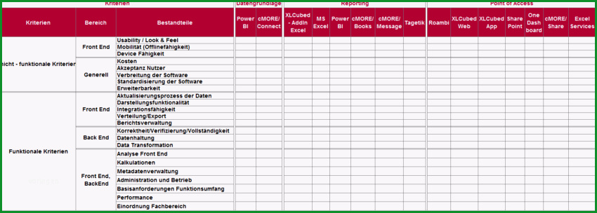 bewertungsmatrix fuer reporting relevante tools