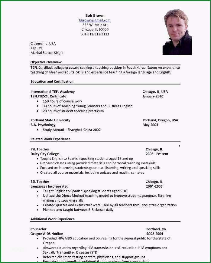 curriculum vitae in english