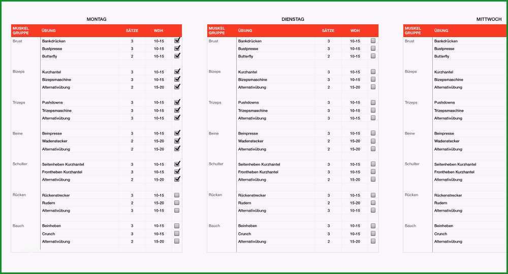 trainingsplan fitness ganzkoerpertraining