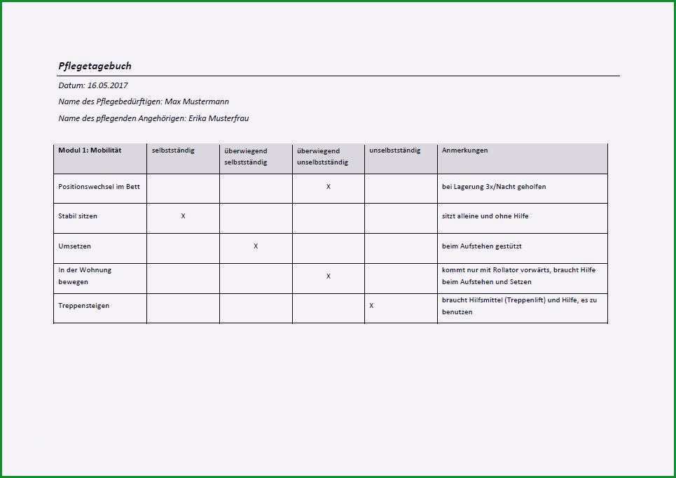 pfle agebuch muster