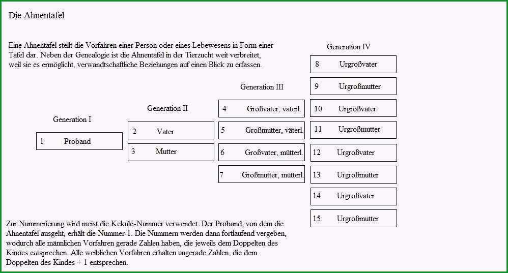 stammbaum vorlage pdf luxus pin ahnentafel vorlage und diagramm on pinterest