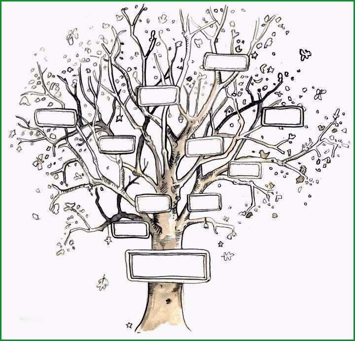 stammbaum vorlage zum ausdrucken bewundernswert vorlagen kostenlos wp content 2011 02