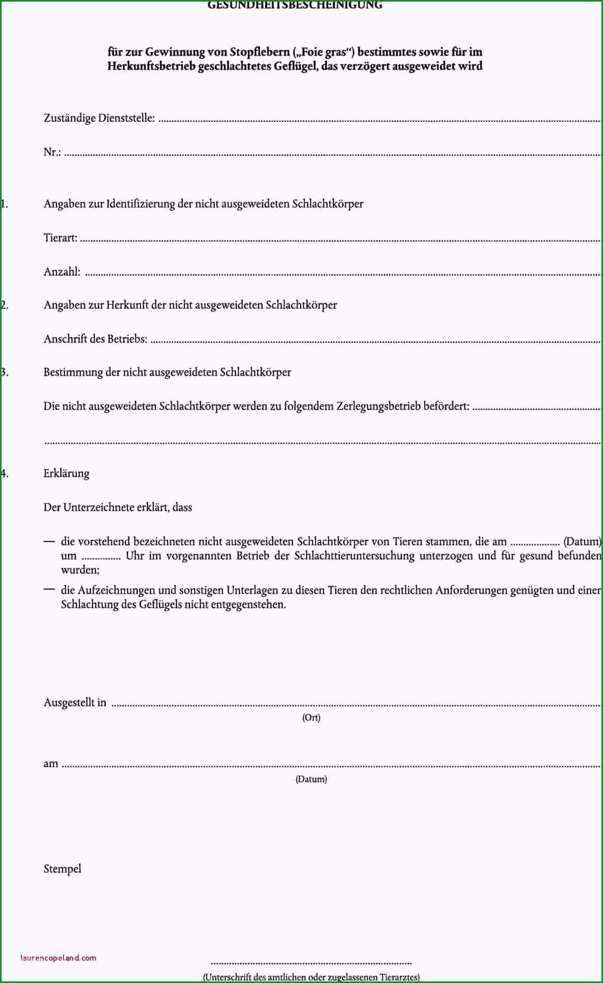 temperaturkontrolle lebensmittel vorlage haccp konzept kueche beispiel wohnung berlin fene kueche kleine 3