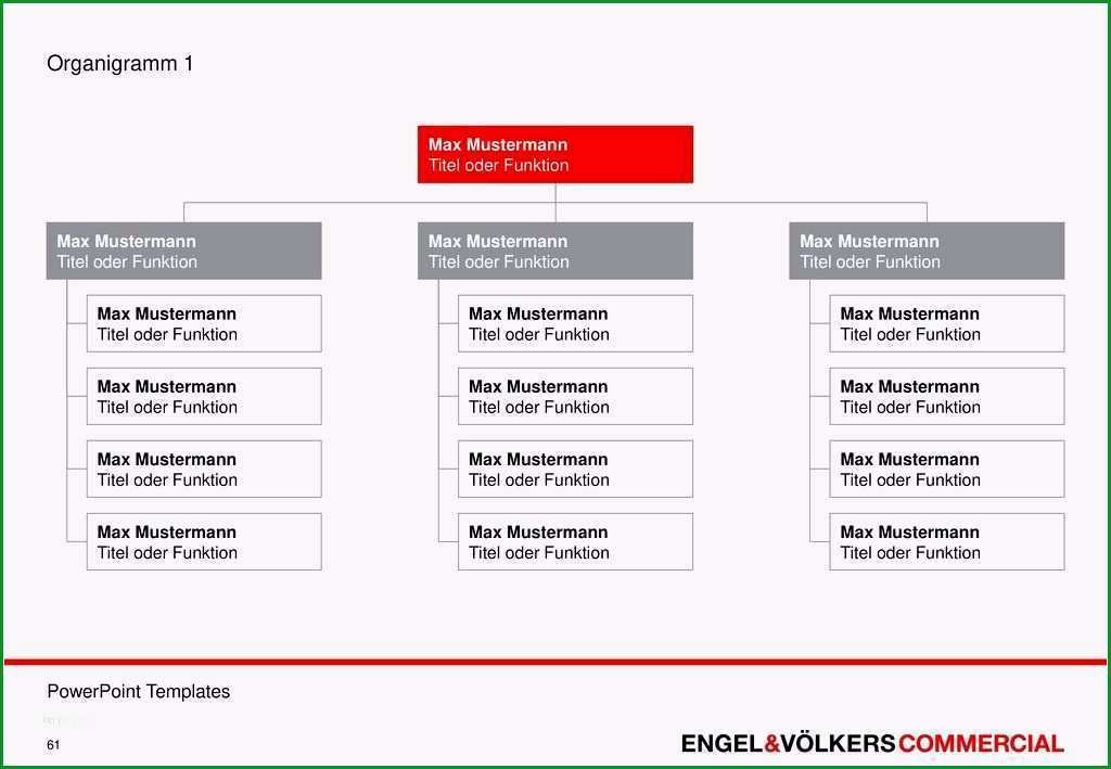 12 organigramm vorlage pdf