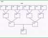 Toll 30 Free Genogram Templates &amp; Symbols Free Template Downloads