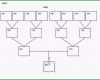 Toll 30 Free Genogram Templates &amp; Symbols Free Template Downloads