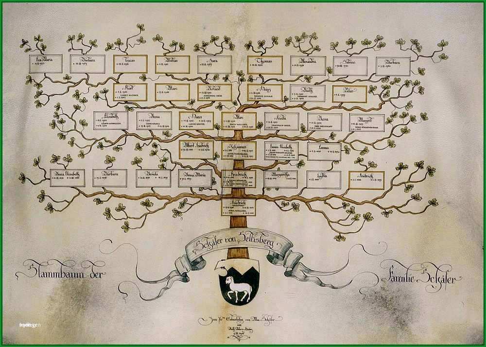 stammbaum vorlage 5 generationen