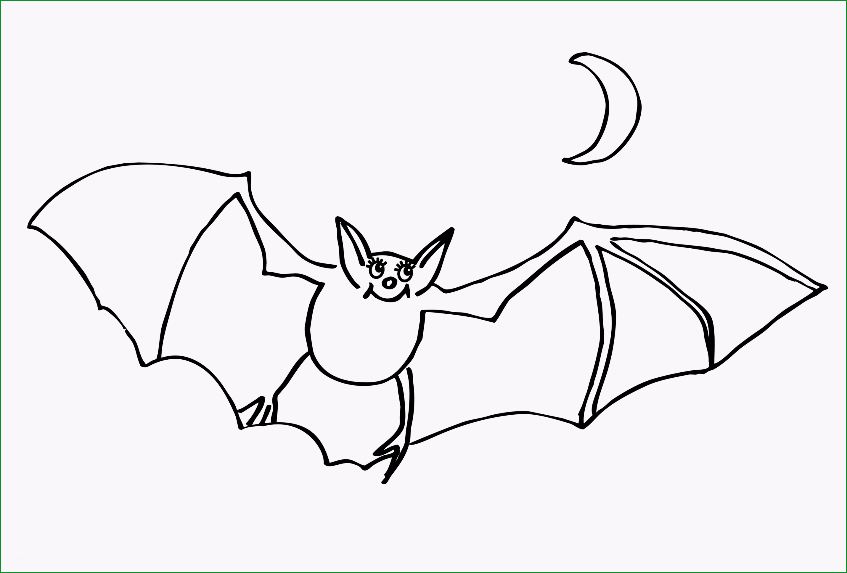 fledermaus