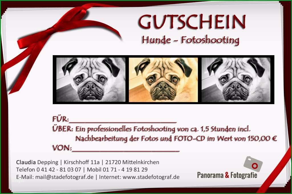 hunde fotoshooting gutschein