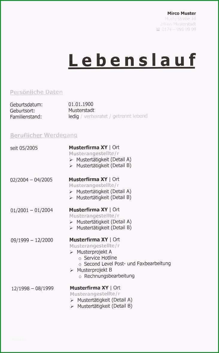 23 Selten Amerikanischer Lebenslauf Vorlage 2019 1