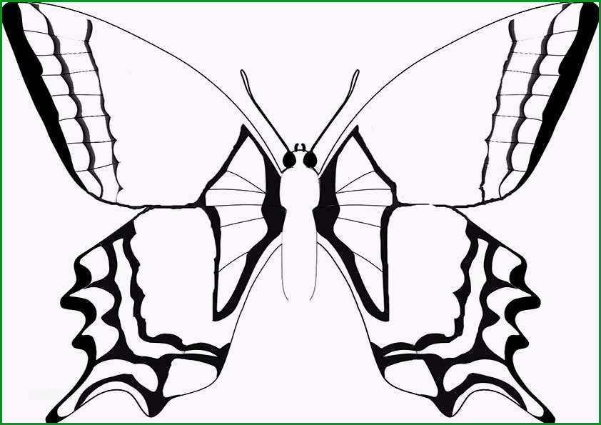 19 Unglaublich Schmetterlingsflügel Vorlage Für 2019 6