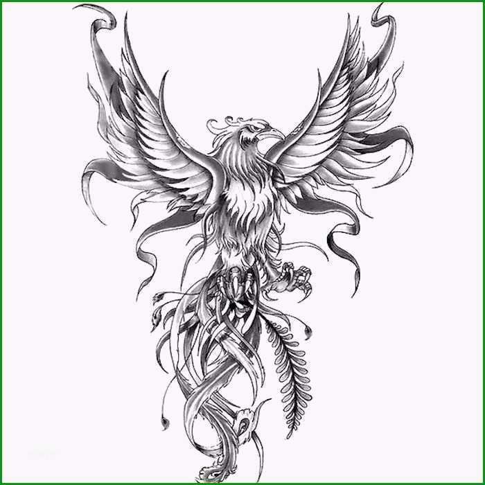 polnischer adler tattoo vorlage hubscher 44 besten polish tattoos bilder auf pinterest