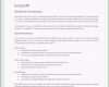 Toll Premium Bewerbungsmuster 4
