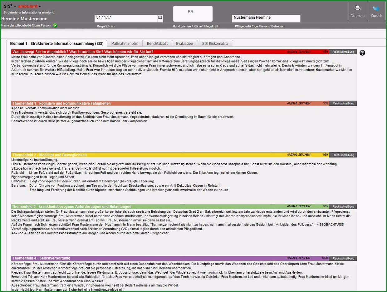 sis pflegeplanung muster muster und vorlage sis pflegedokumentation muster