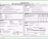 Überraschen 8d Report Vorlage Pdf Wunderbare Report Template