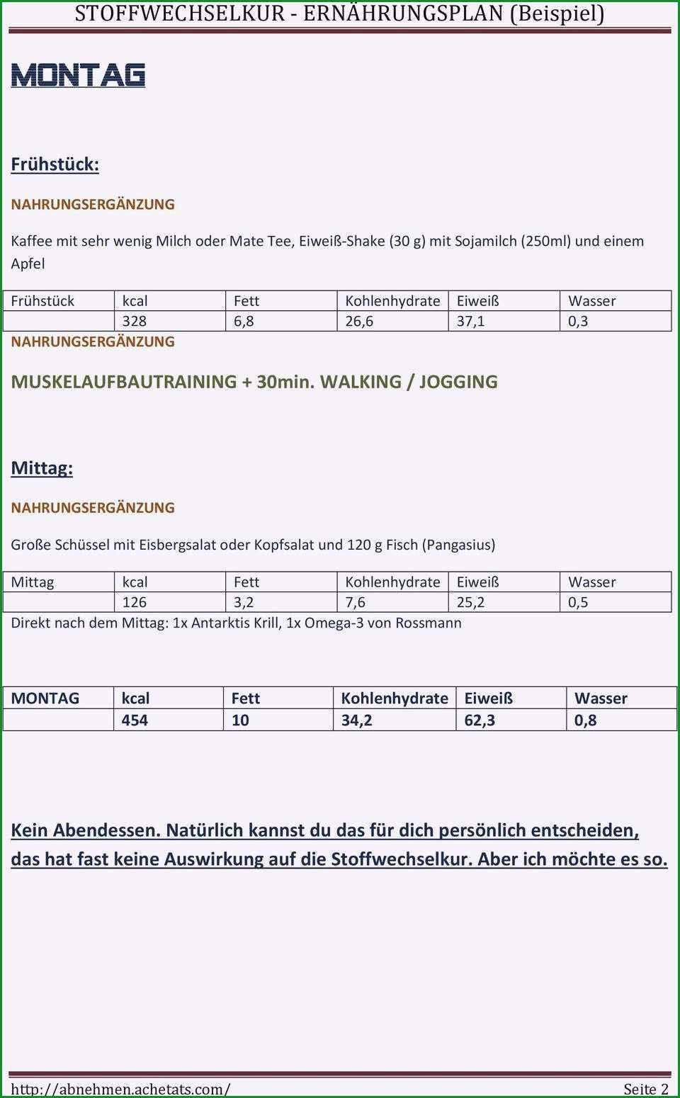 abnehm tagebuch vorlage