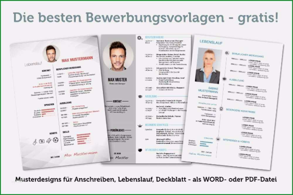 bewerbungsflyer vorlage sus bewerbung vordrucke kostenlose word muster
