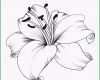 Überraschen Die 25 Besten Ideen Zu Blumen totenkopf Tattoos Auf