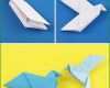 Überraschen origami Taube Falten Anleitung