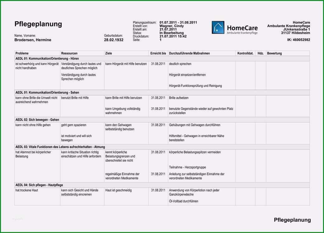 pflegeplanung leere vorlage cool leistungsumfang medifox