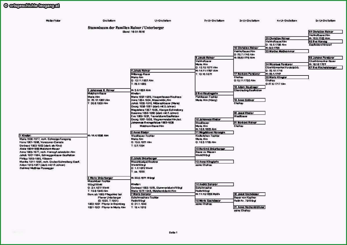 stammbaum vorlage pdf beste stammbaum rainer unterberger pdf ortsgeschichte leogang