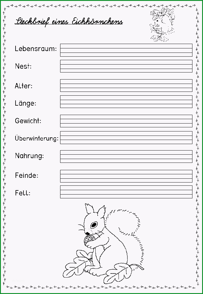 Steckbrief Tiere von steckbrief tiere grundschule vorlage, Danke an: www.pi...