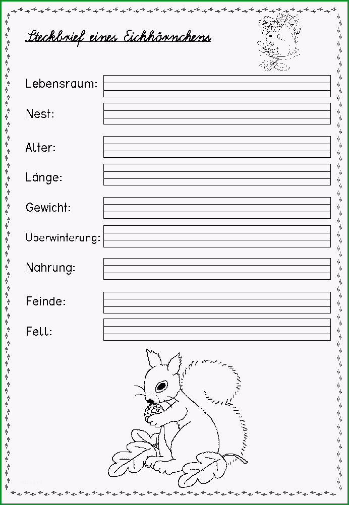 steckbrief tiere 01