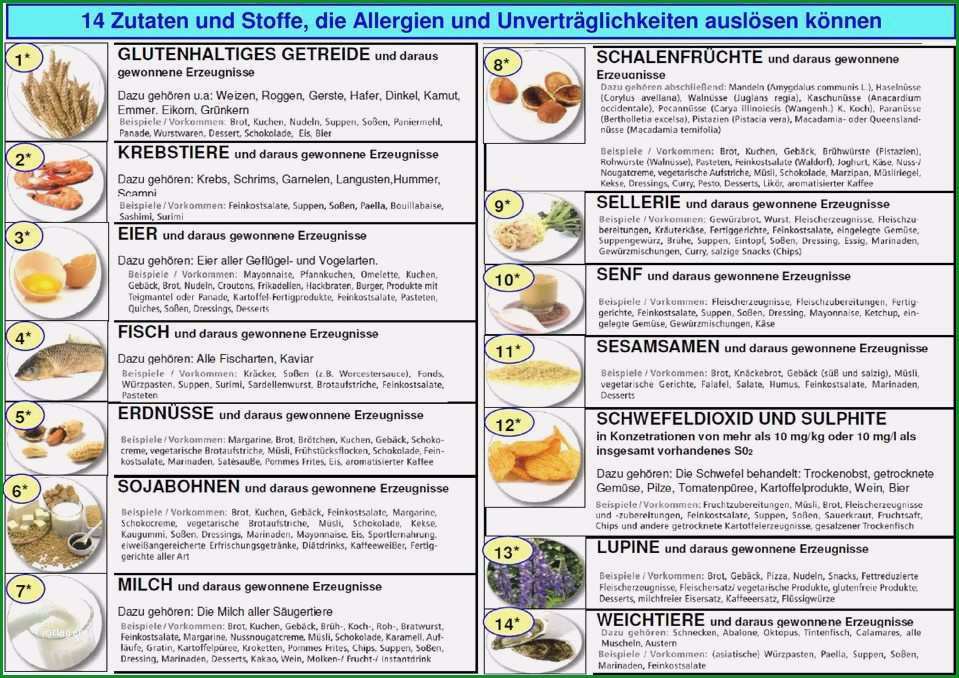 allergenliste gastronomie vorlage neu mittagskarte gultig nstag bis freitag au er feiertag