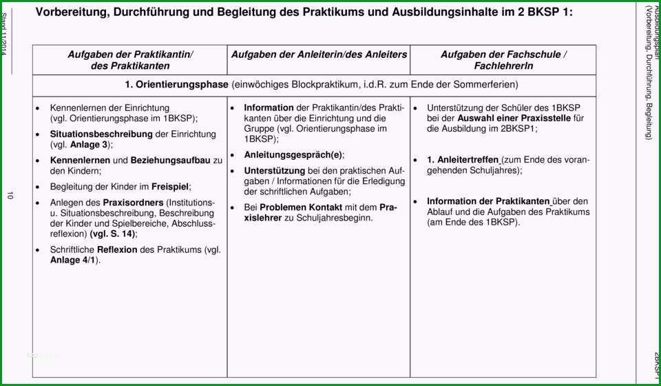 individueller ausbildungsplan erzieher vorlage gut grundlagen und organisation des sozialpadagogischen