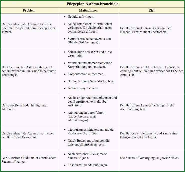 pflegeplanung muster zum ausdrucken