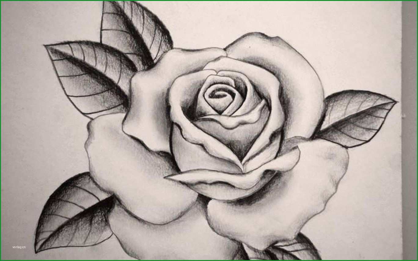 rose flower tattoo drawings