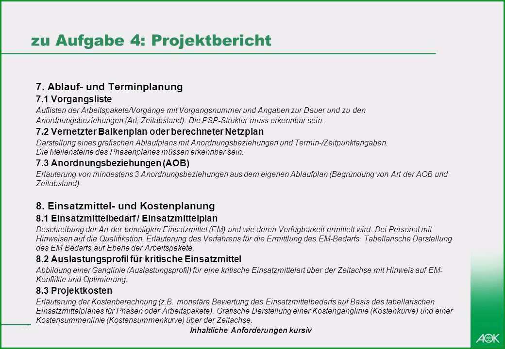 12 projektbericht vorlage