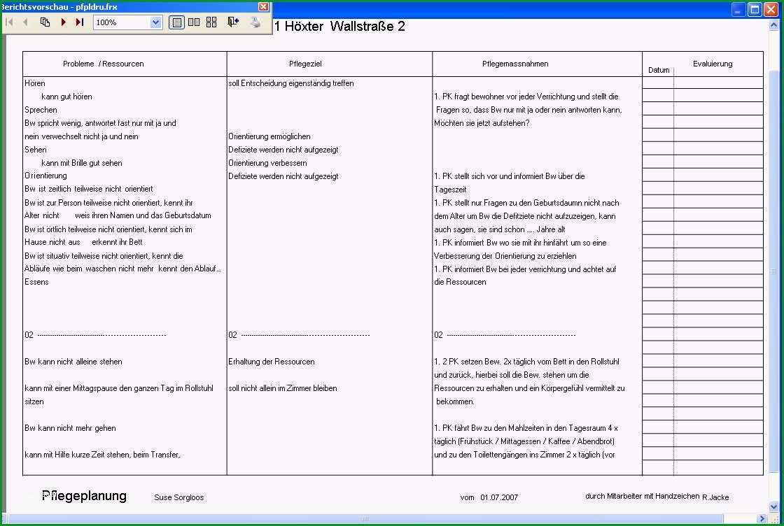 16 pflegeplanung schreiben muster