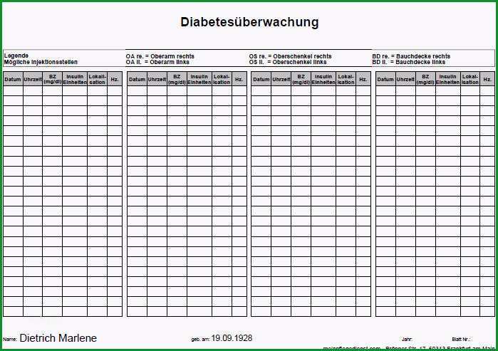 masnahmenplan vorlage pflege