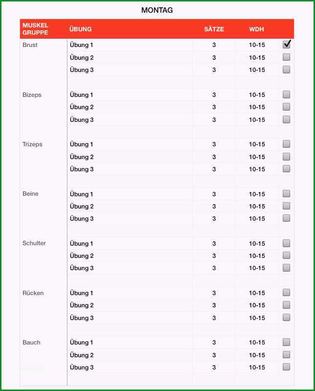 trainingsplan fitness ganzkoerpertraining