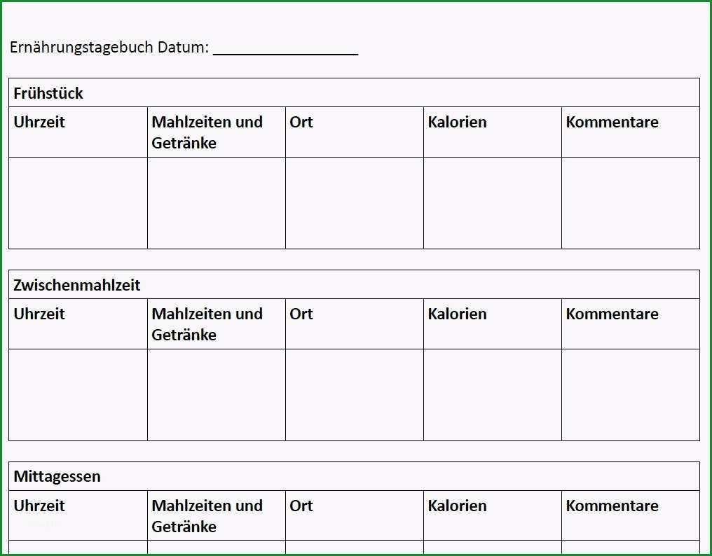 11 ernahrungsprotokoll vorlage word