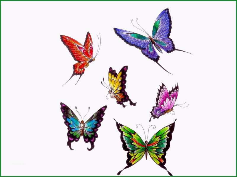 Unvergesslich 29 Schmetterling Tattoos Abosluter Hammer Sind