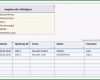 Unvergesslich Bilanz Muster Excel 47 Beispiel Kontenrahmen Skr 04 Excel