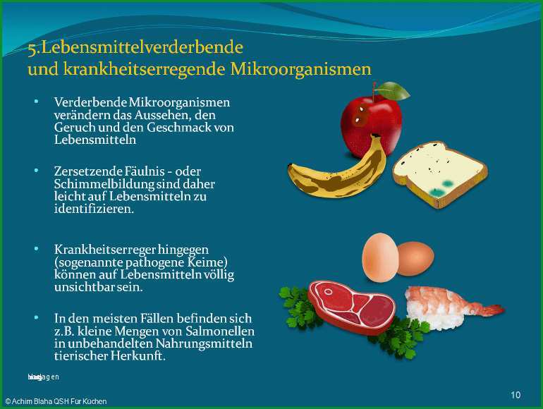 hygieneschulung vorlage einzigartig haccp hygieneschulung haccp schulung auf cd rom vorlage