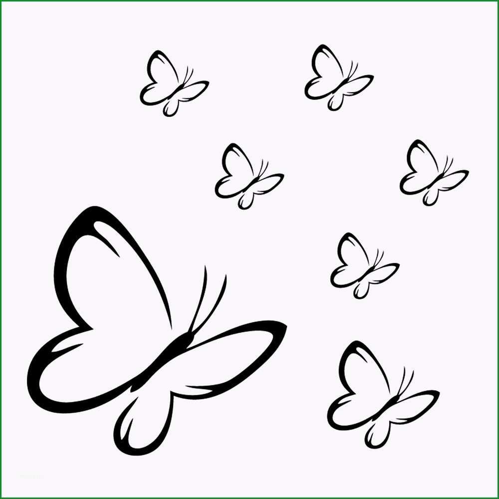 Schmetterling Vorlage Für Wand: 22 Methoden Für Deinen Erfolg 6